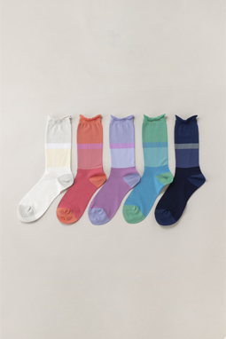 Color palette crew socks